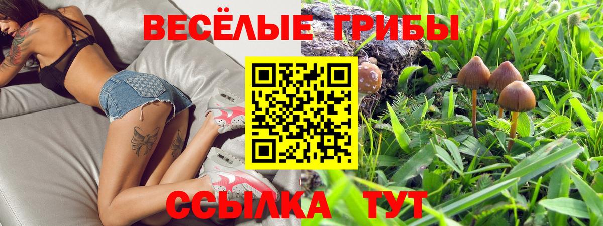 Псилоцибиновые грибы Magic Shrooms Новоалтайск