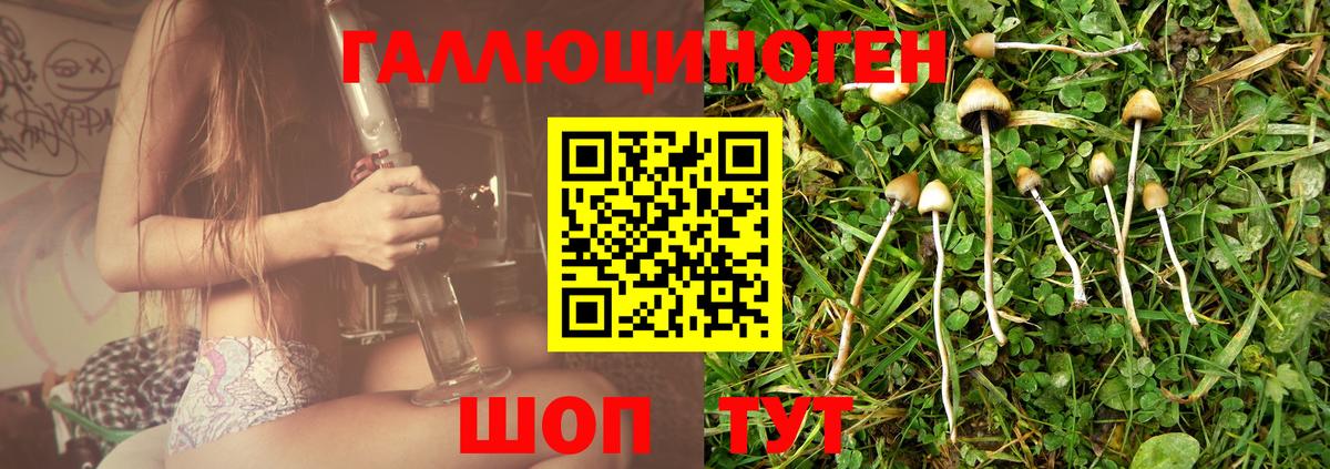 Новоалтайск  Галлюциногенные грибы MAGIC MUSHROOMS  Вход с VPN  где купить   Псилоцибиновые грибы мухоморы 